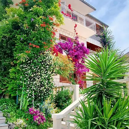 Dejan Apartment *
